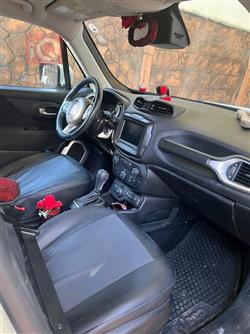 جيب رينيجيد